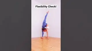 Flexibility Check! 