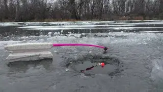 Не успел опуститься поплавок,как он сразу всплыл! Зимняя рыбалка 2021-2022. Первый лёд на реке
