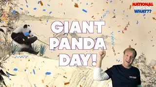 Happy National Giant Panda Bear Day | March 16 | No Bamboo For You!