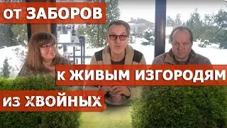 Туя, ель, пихта, тис и тсуга в живых изгородях.