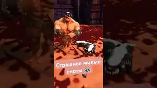 Страшно милые еноты 🦝 