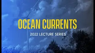 Ocean Currents 2022: Why and How We Count Horseshoe Crabs