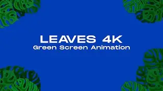 Why Every Movie Uses Green Screen Leaves