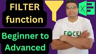 Excel FILTER function tutorial | Beginner to Advanced