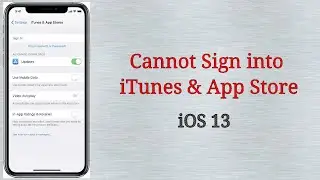 How to Fix Can't Sign Into iTunes & App Store on iPhone and iPad after iOS 14/13.4