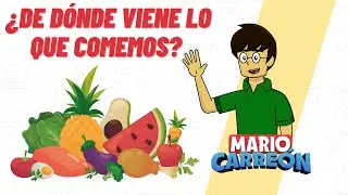 ¿De dónde viene lo que comemos?