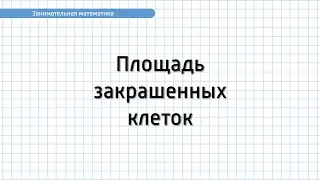 Занимательная математика. Задание №2. Площадь закрашенных клеток