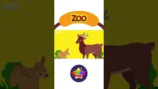 Kids vocabulary - Zoo - Learn English for kids - English educational video #shorts