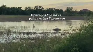 Пригород Уральска, район озёра Садовское. Май 2022г