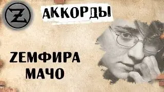 Земфира мачо аккорды 🎸 кавер табы как играть на гитаре | pro-gitaru.ru