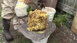Перетапливаю забрус