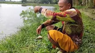 Mancing Ikan Nila di Empang Bandaran Pasuruan | Mancing Ikan Nila | Mancing Mania | Mancing kiloan