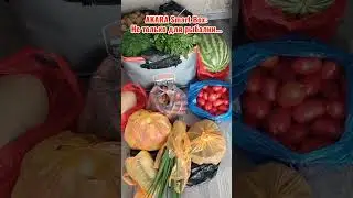 Akara Smart Box: не только для рыбалки! #shorts