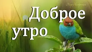 С добрым утром | ЛОВИ МОЙ ПРИВЕТ