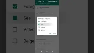 WhatsApp fotoğrafları galeriye kaydetme - fotolar galeride görünmüyor