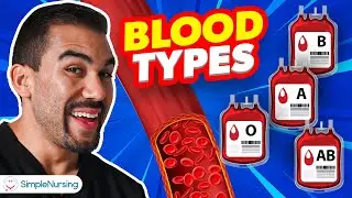 Blood Types for Nursing Students: A Comprehensive Guide (RBCs, Antigens, Antibodies + More!)