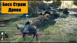 Elden Ring. Битва Верхом против Босса Всадника.