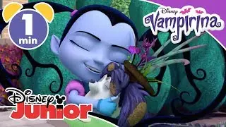 Vampirina | Song - Perfectly Imperfect ❤️ | Disney Kids