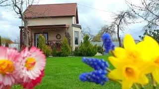 Дом за Городом. Сделать Свой Сад Красивым. Озеленение Сада. Идеи для Вдохновения. 
