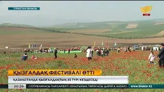 Түркістанда қызғалдақтар фестивалі өтті