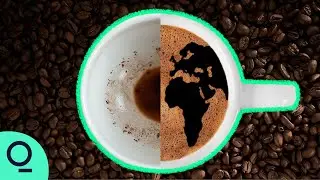 Inside the Global Fight to Save Coffee