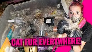 HUGE Depression Clean with Cat Fur EVERYWHERE! 😱
