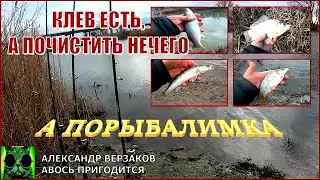 А порыбалимка 20/21г. Клев есть, а почистить нечего.