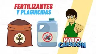 Fertilizantes y Plaguicidas: riesgos y beneficios