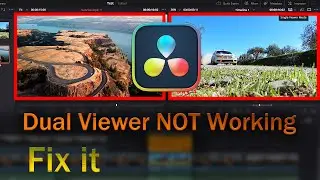 How to Fix Dual Viewer Mode Problem in DaVinci Resolve