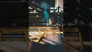 Dark grand piano track 1