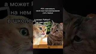 Как выбрать первый язык программирования 