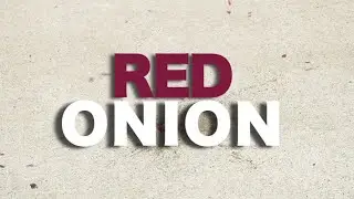 The Red Onion Video | TransWorld SKATEboarding