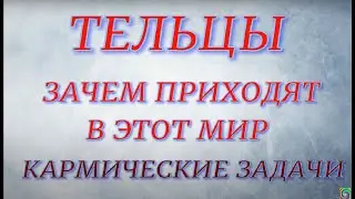 Знаки Зодиака - Тельцы. Зачем приходят в этот мир.. Кармические задачи.