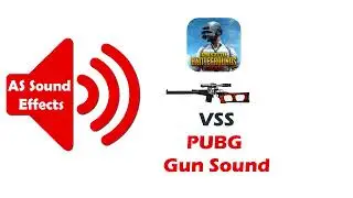 PUBG VSS Real Gun Sound 2022