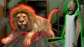 Granny vs Lion Granny Funny Animation part 6