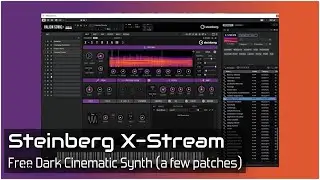 Steinberg X-Stream Noodling with Some Patches 