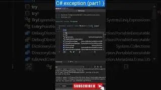 C# exception