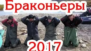 Весна 2107 браконьеры проверяют сети в наглую