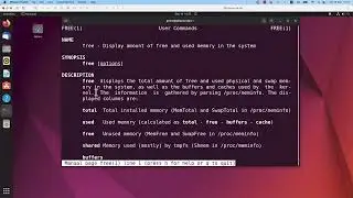How to check the uptime, memory usage, and CPU usage on your Linux machine