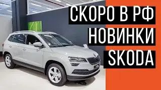 НОВИНКИ SKODA, КОТОРЫХ ПОКА ЧТО НЕТ В РФ: KAROQ, SUPERB FL, SCALA