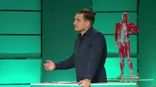 СОТРЯСЕНИЕ МОЗГА: ЧТО ДЕЛАТЬ В ПЕРВУЮ ОЧЕРЕДЬ?