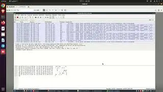 Wireshark Service On Telegram