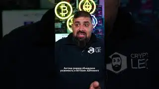 Крипта новости 23/10/2023