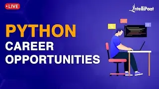 Python Career Opportunities | How to become a Python Developer | Python Jobs | Intellipaat