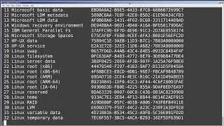 Linux Command Line (88) fdisk