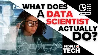 What Do Data Scientists Do?