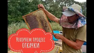 Отбираем корпуса с медом