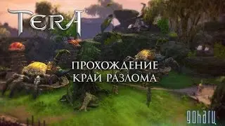 TERA - Прохождение подземелья Край Разлома от портала GoHa.Ru