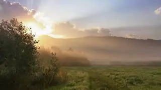 Аутогенная тренировка. Ведет Полина Сухова