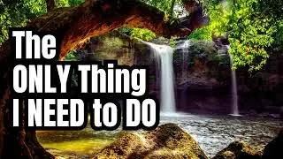 The ONLY Thing I NEED to DO to Manifest my Dream Life 